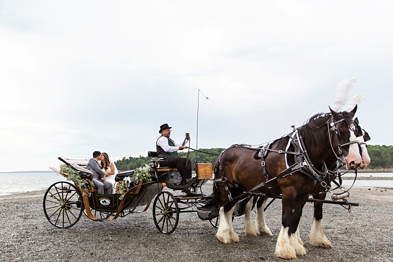 A portrait of a bride and groom kissing in a horse-drawn carriage in Bar Harbor, Maine.