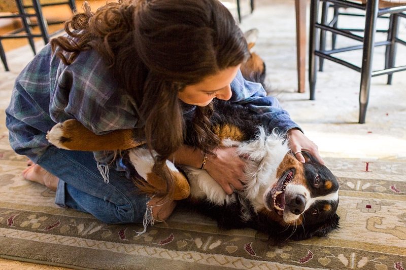 The bride and groom's dog gets a belly rub from the groom's sister.