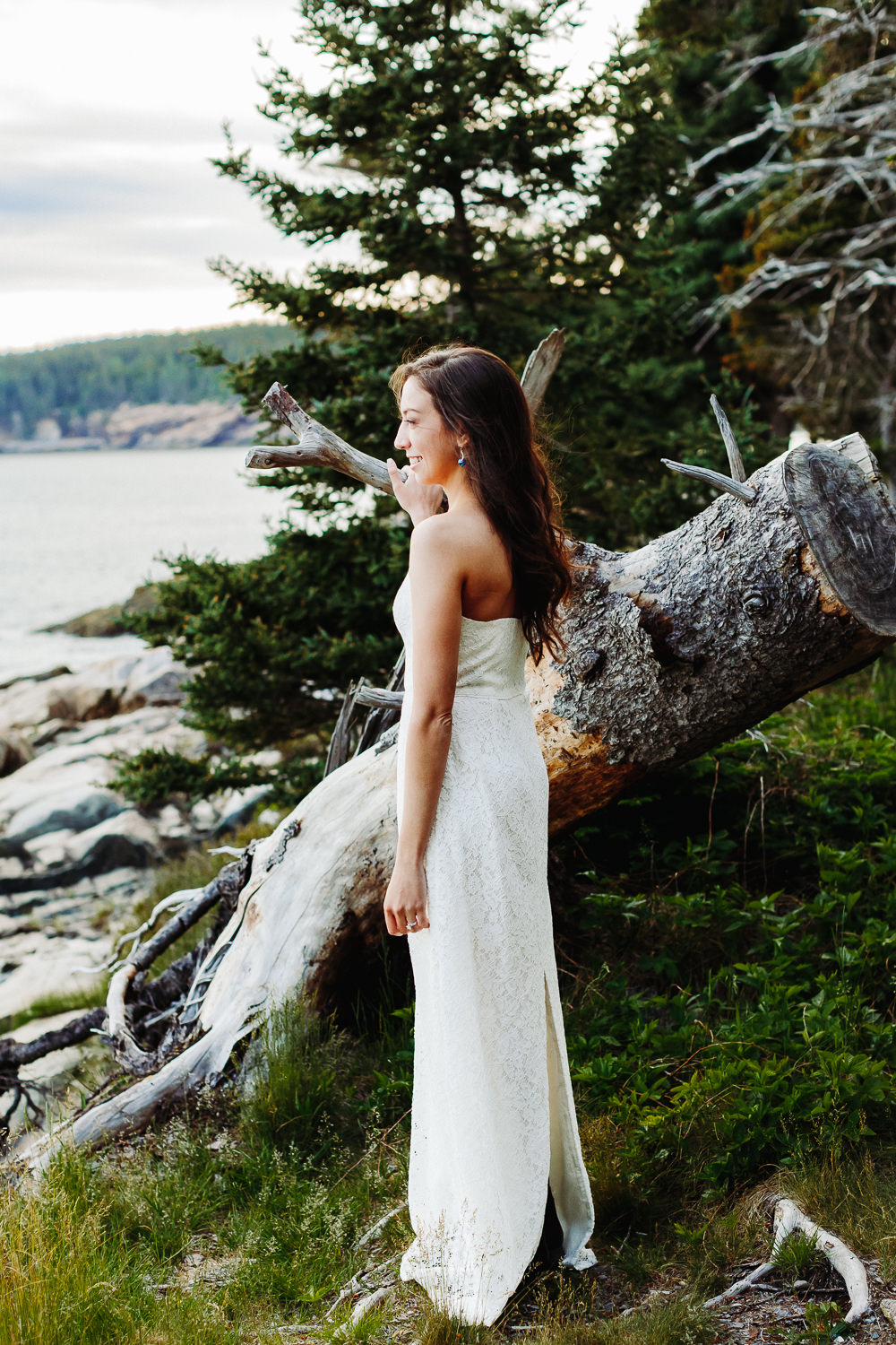 Bride standing next to fallen tree in Acadia National Park