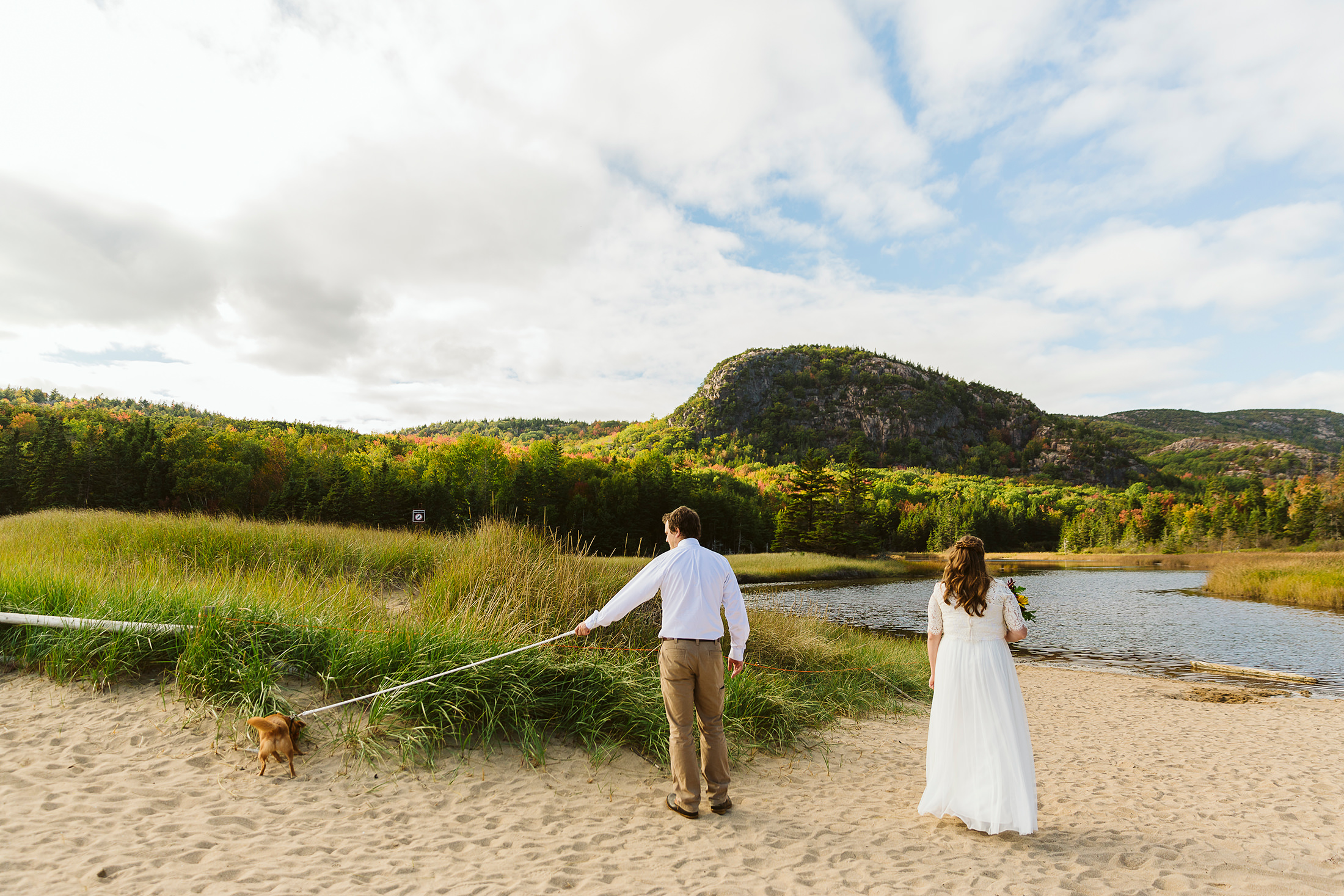 bride and groom explore Sand Beach with their dog during their elopement in Acadia National Park