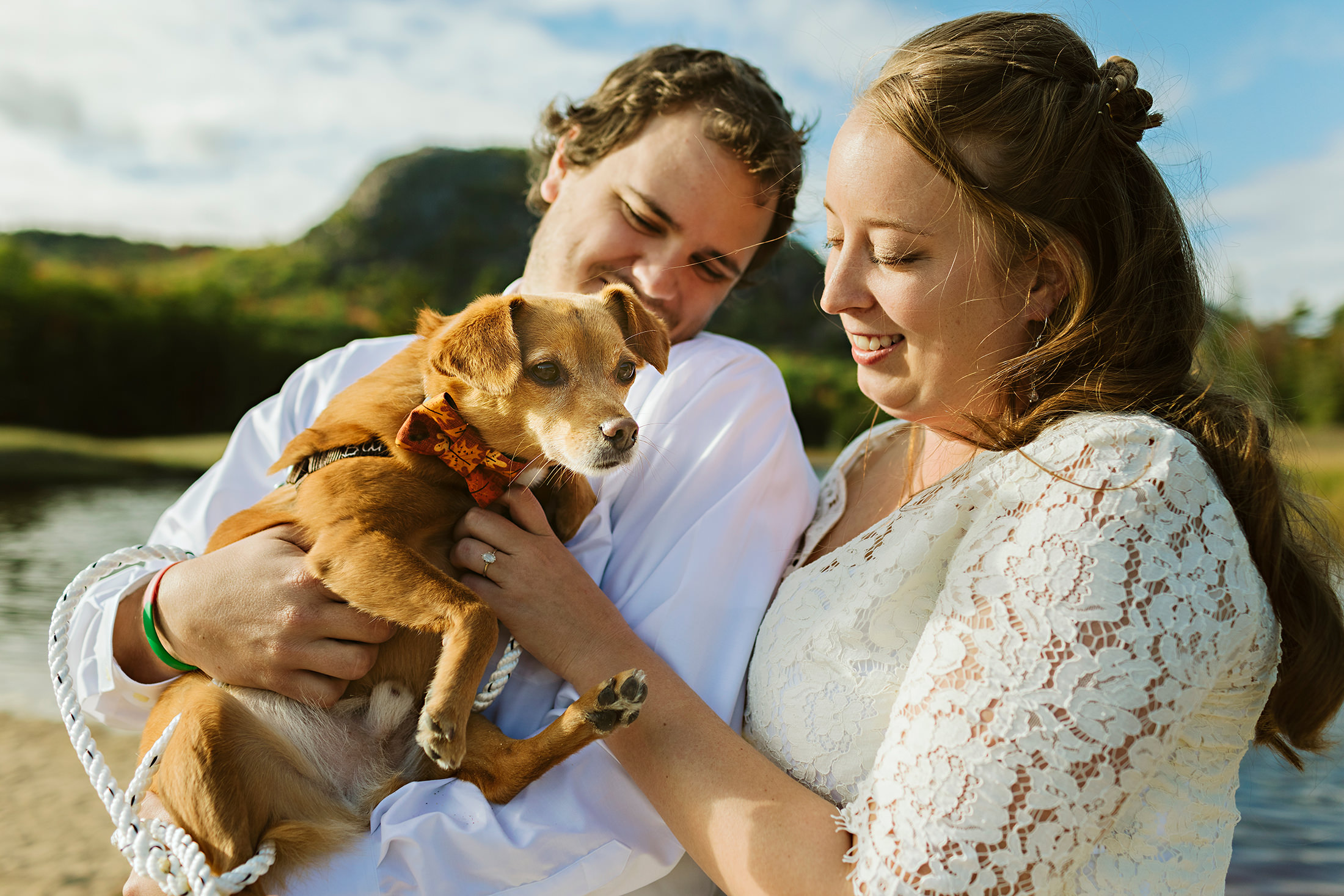 Bride and groom cuddle their dog during their elopement in Acadia National Park