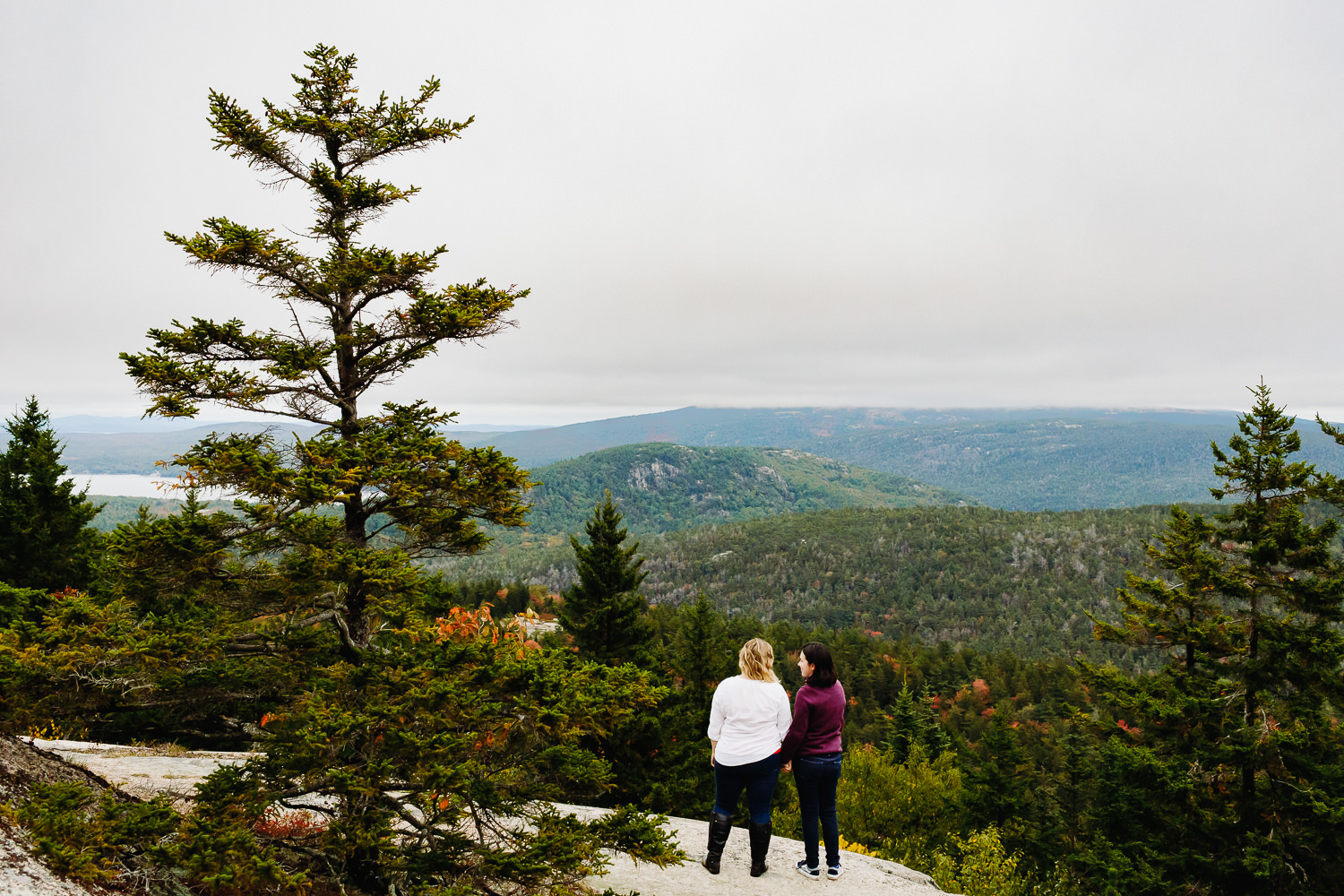 same-sex engagement photos of two women in Acadia