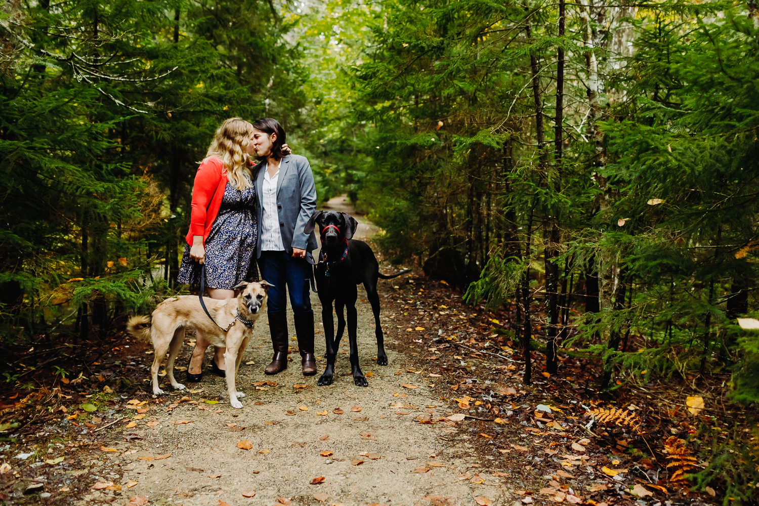 two women kissing on hiking trail in Acadia National Park with their dogs in front of them