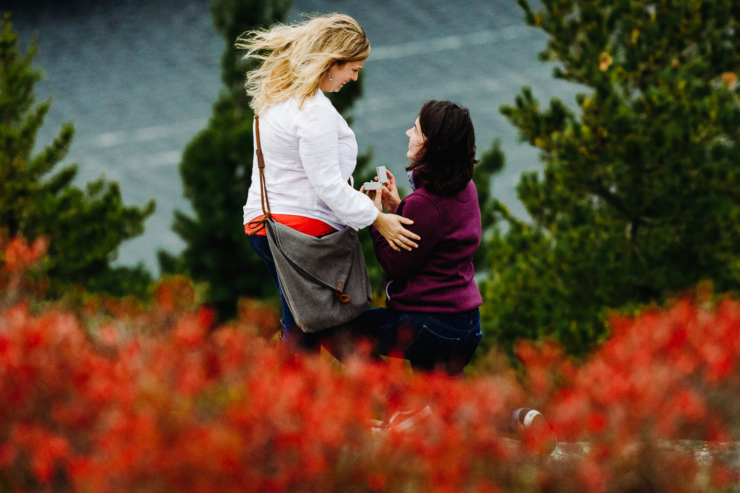 woman proposing to another women on Beech Mountain in Acadia National Park