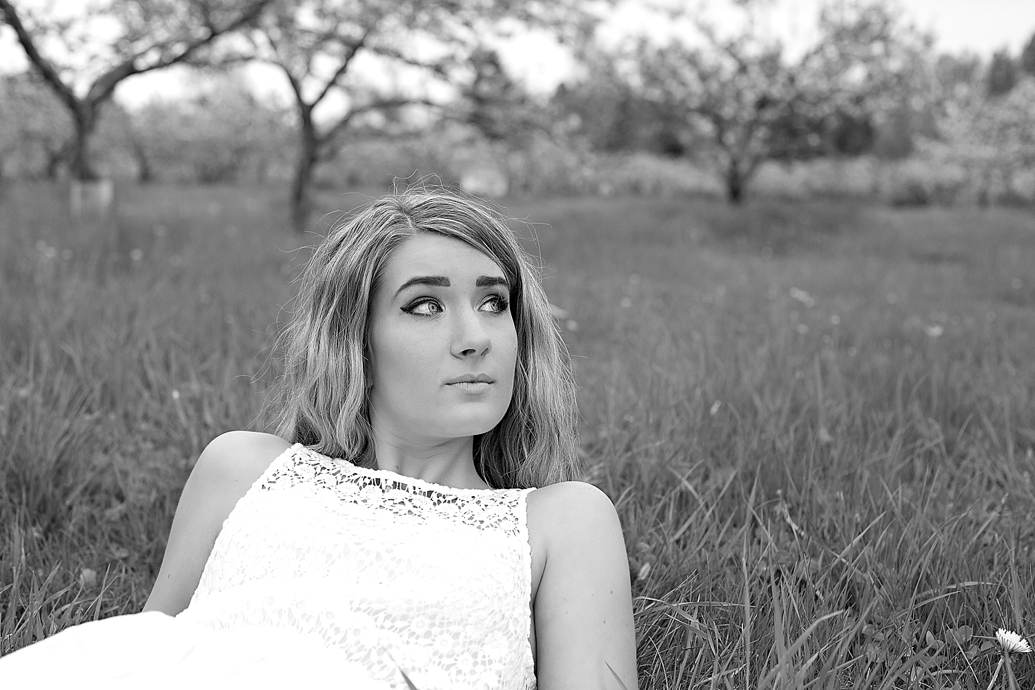 Portraits in a Maine Apple Orchard