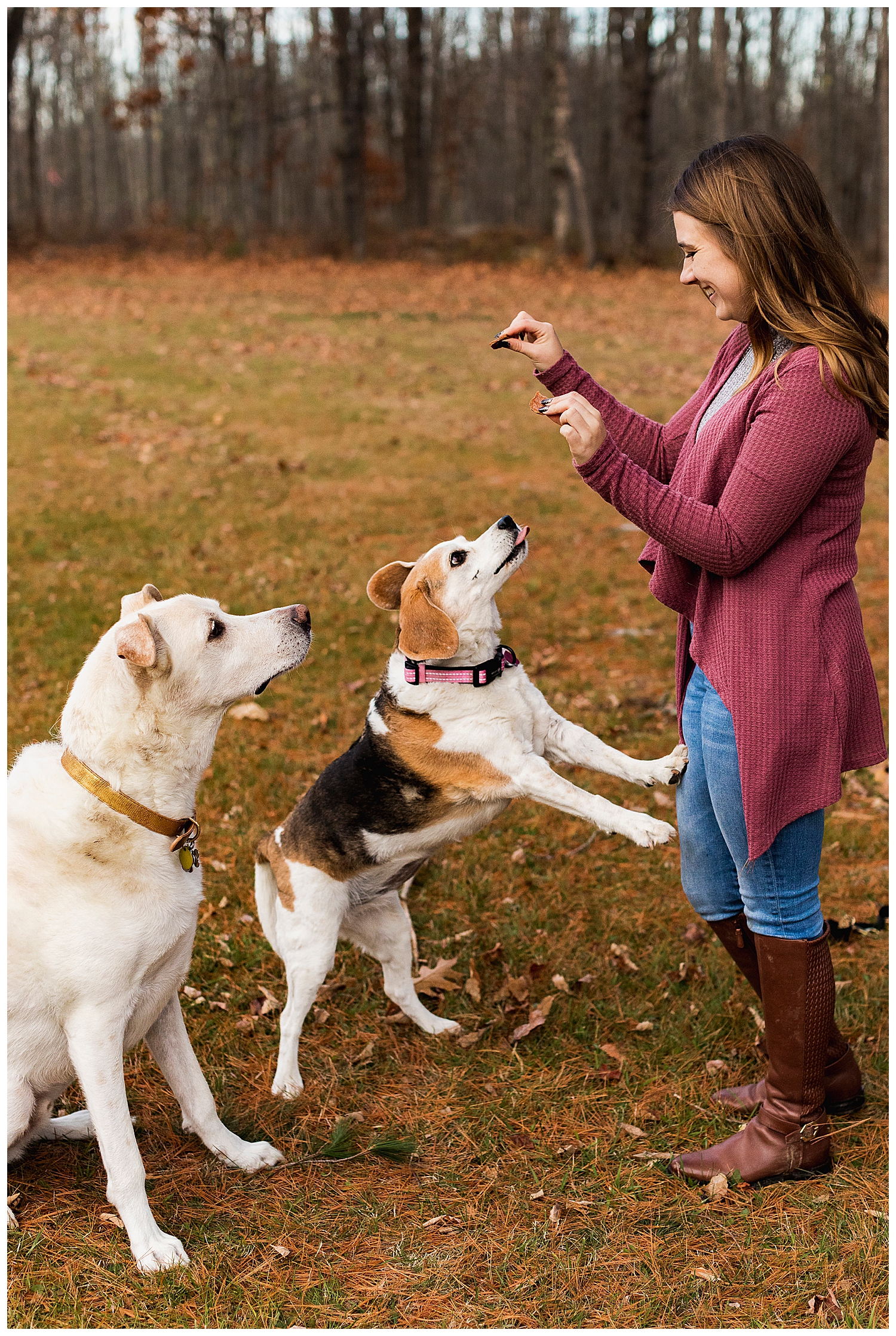 woman feeding treats to dogs