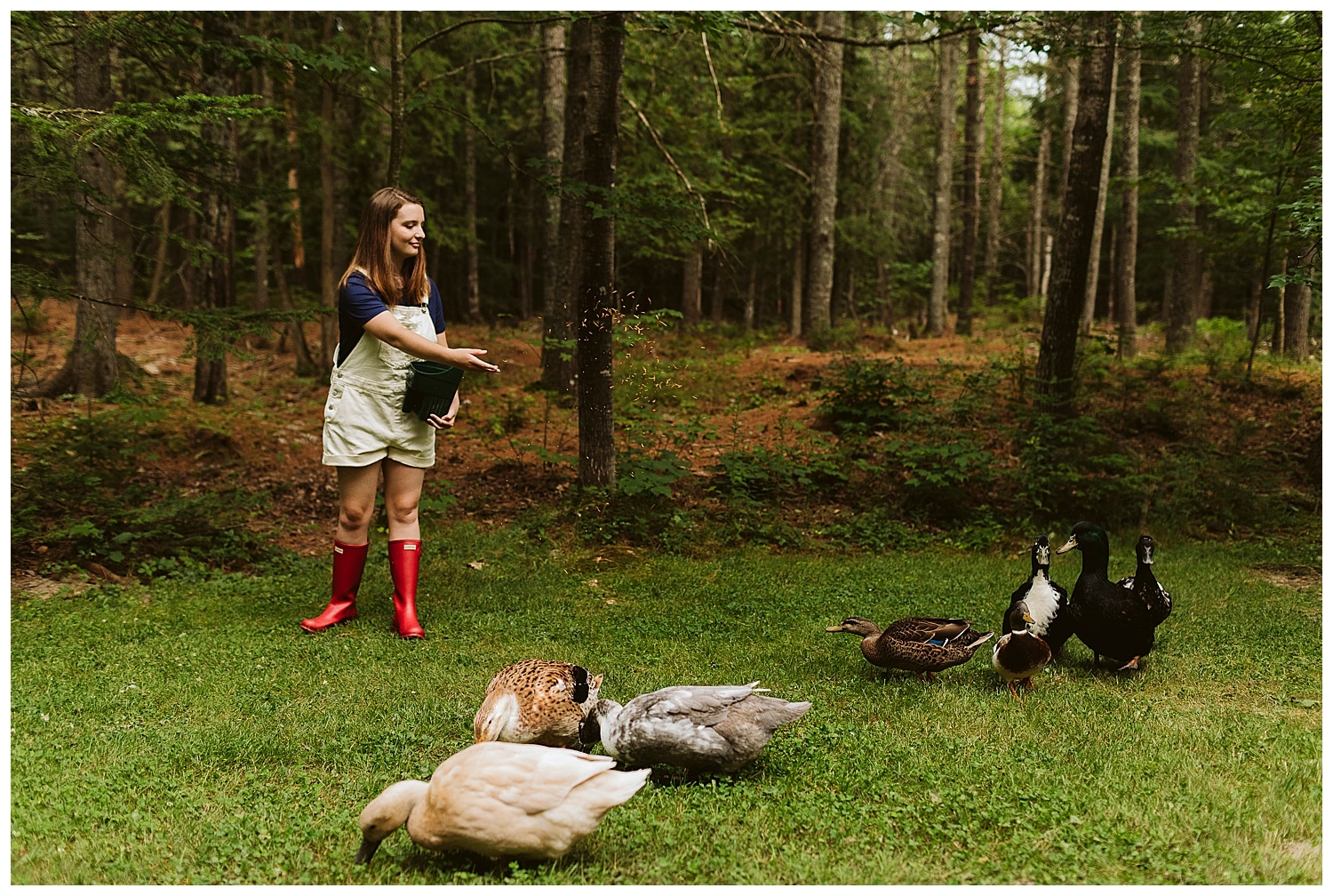 girl feeding ducks
