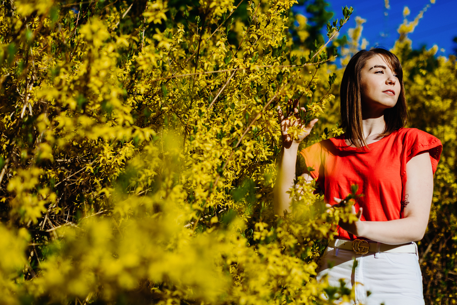 woman posing with forsythia during portraits in Bangor Maine