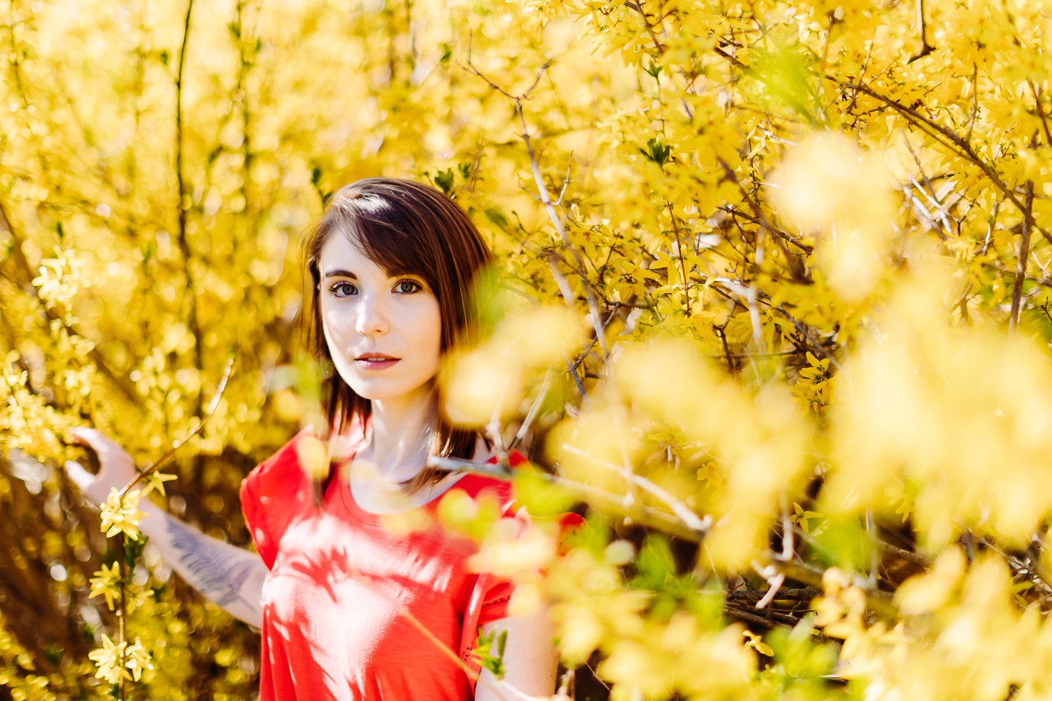 portraits in Bangor Maine of woman with forsythia