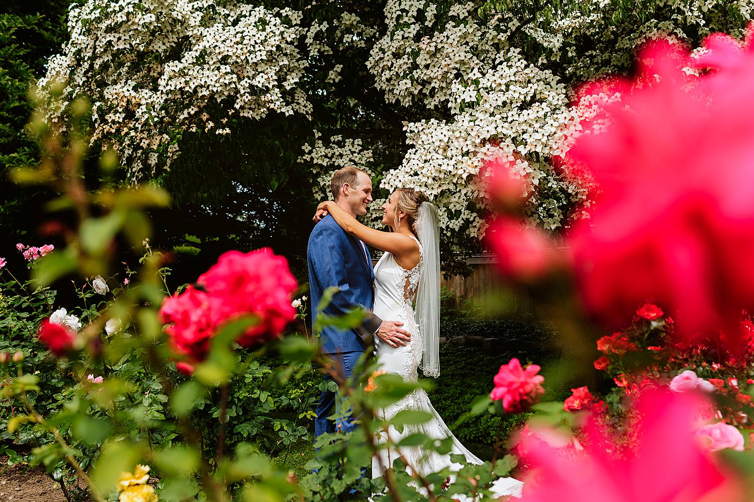 wedding portrait looking through flowers at North Hampton, NH wedding at fuller gardens