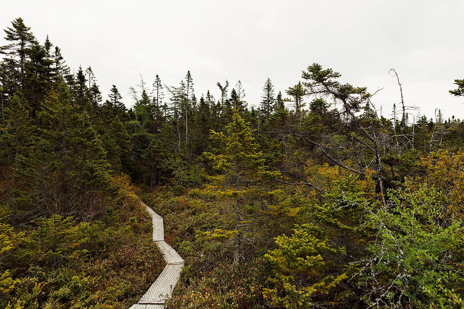 hiking trails in Lubec, Maine