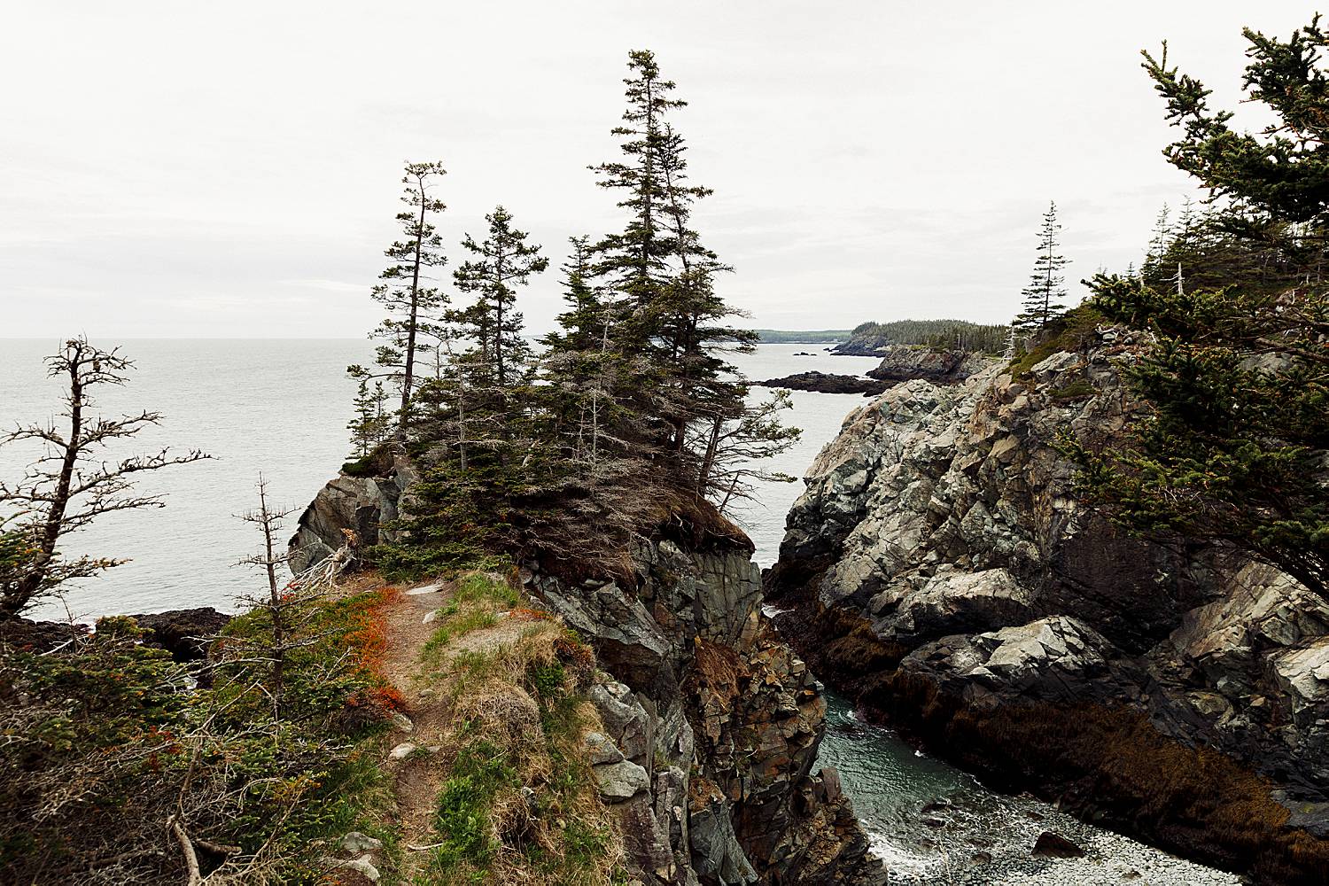 scenic photo from Boot Head Preserve in Lubec, Maine