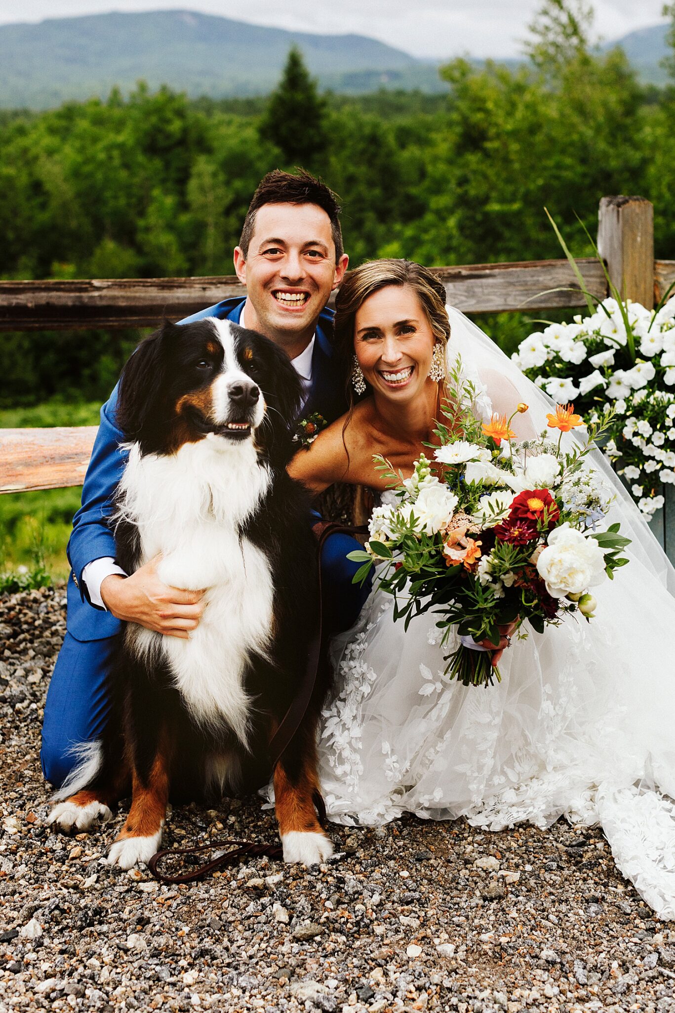 portrait of bride and groom with their Bernese Mountain dog at Maine wedding