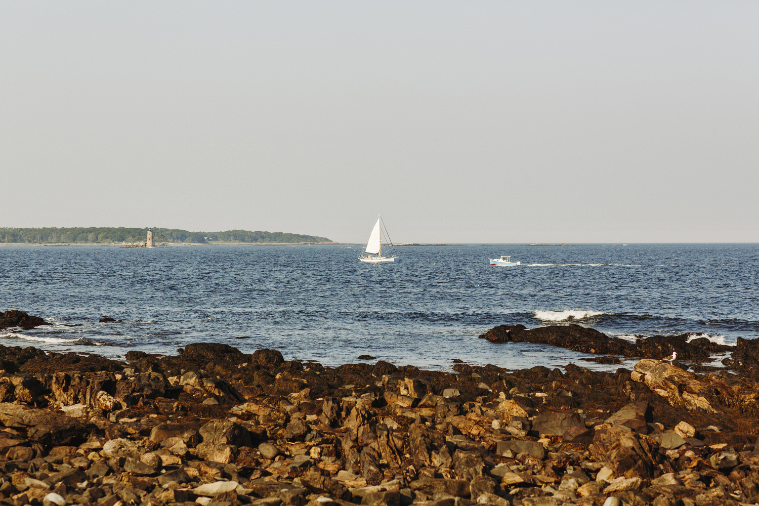 A sailboat passing cocktail hour at wedding at Seacoast Science Center
