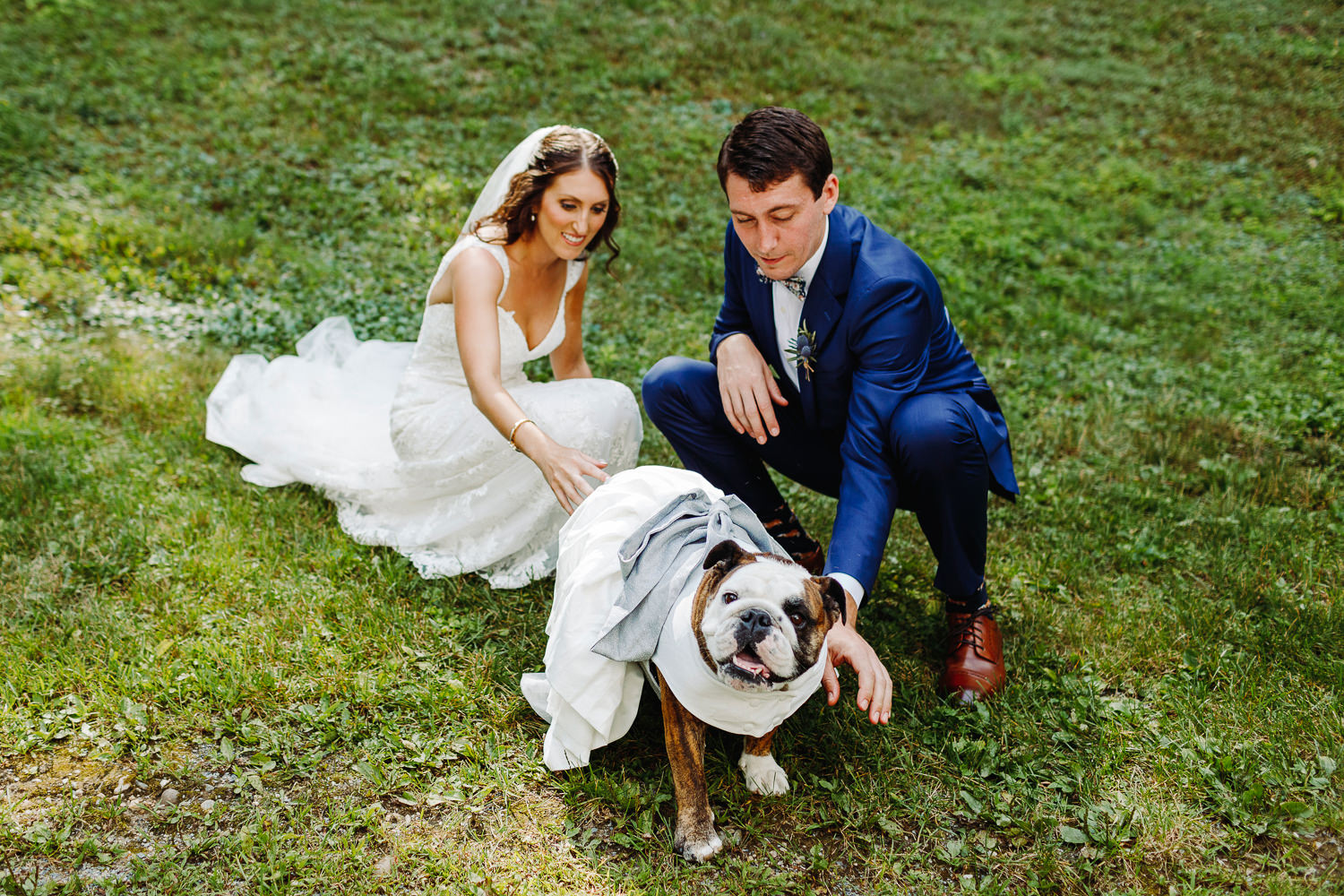 bride and groom with their bulldog at Arlington, Vermont wedding