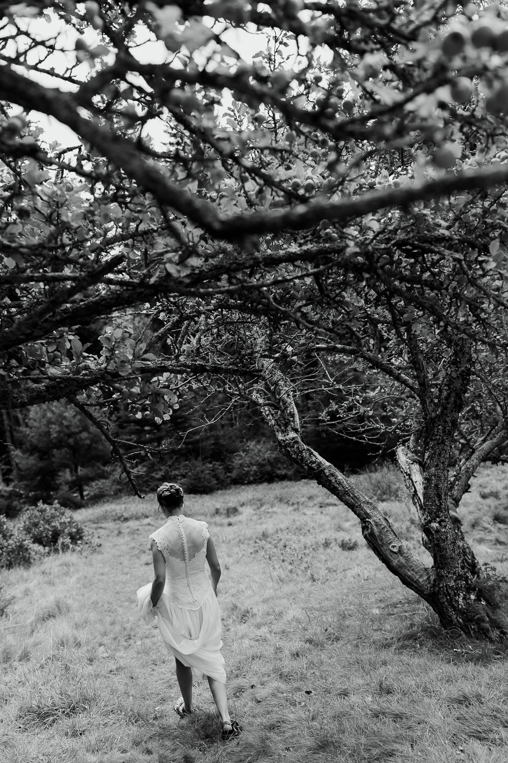 Bride walking under trees on the way to her first look on Sutton Island in Maine