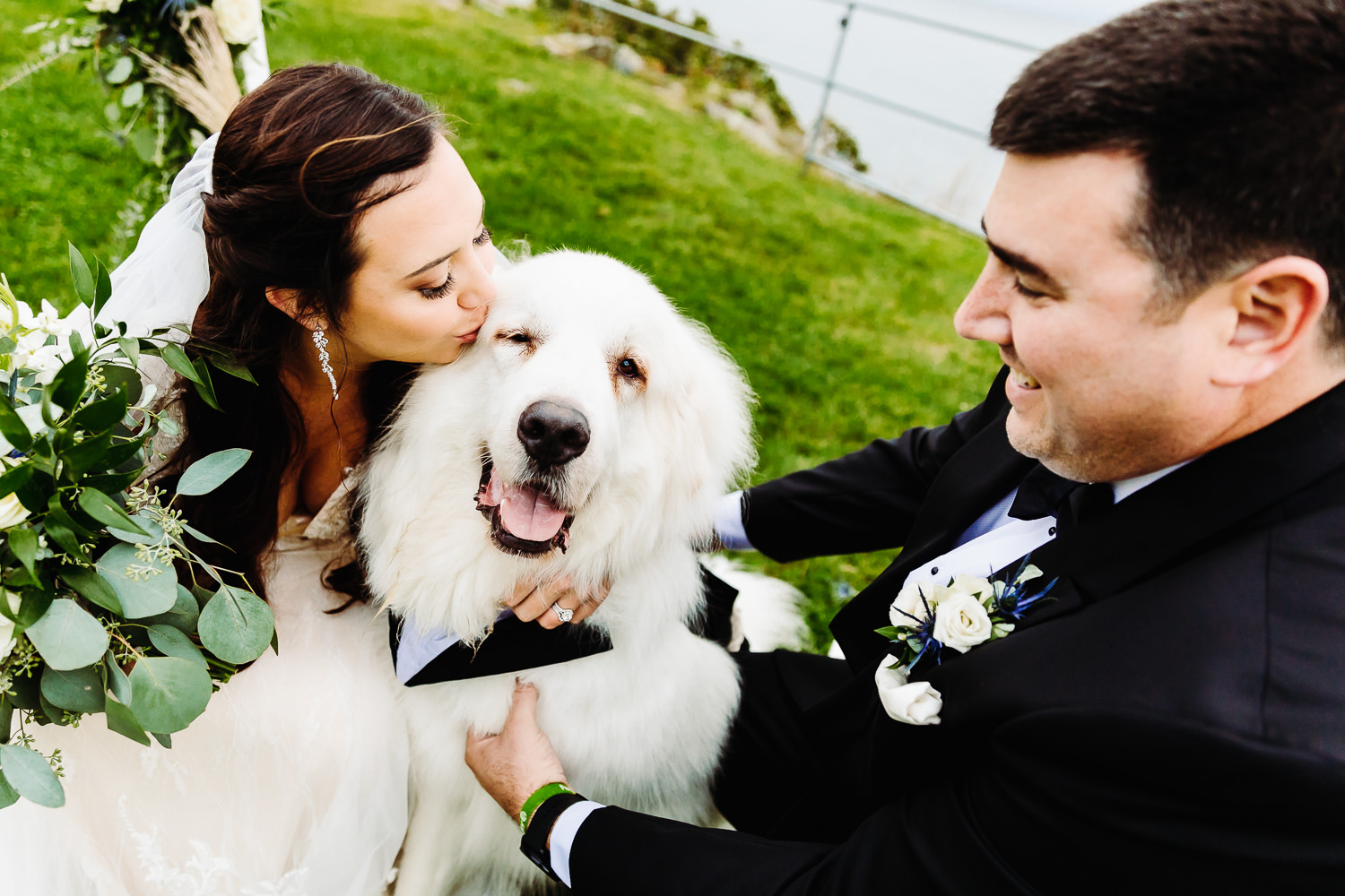 bride and groom kiss their dog at Stage Neck Inn wedding
