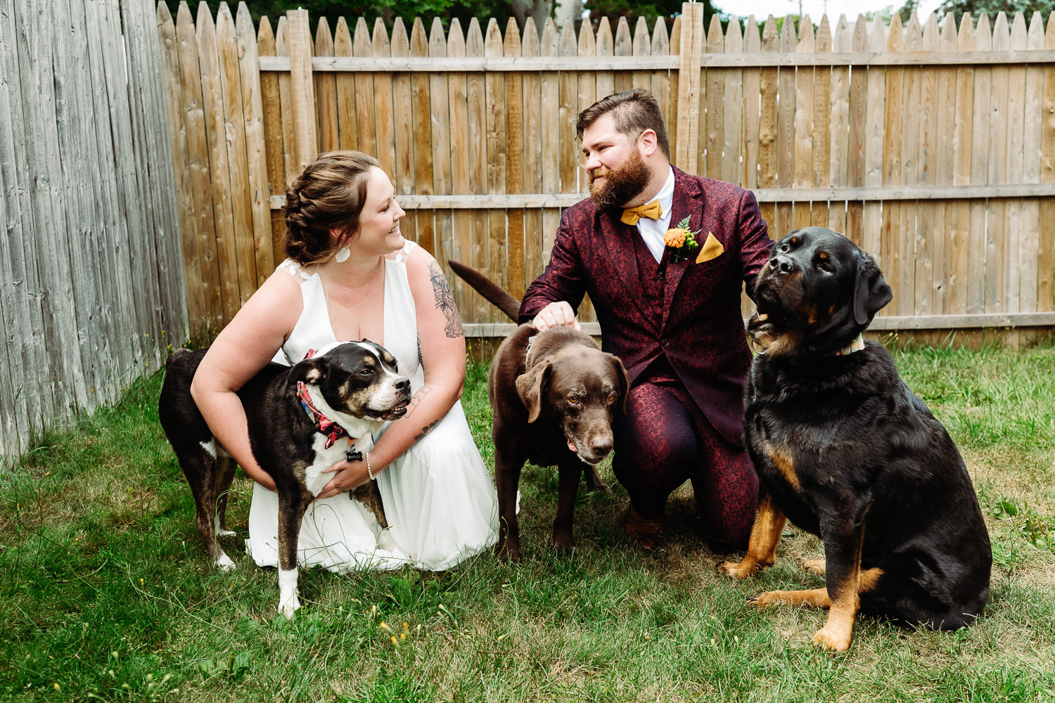 couple with their dogs at Portland Maine brewery wedding