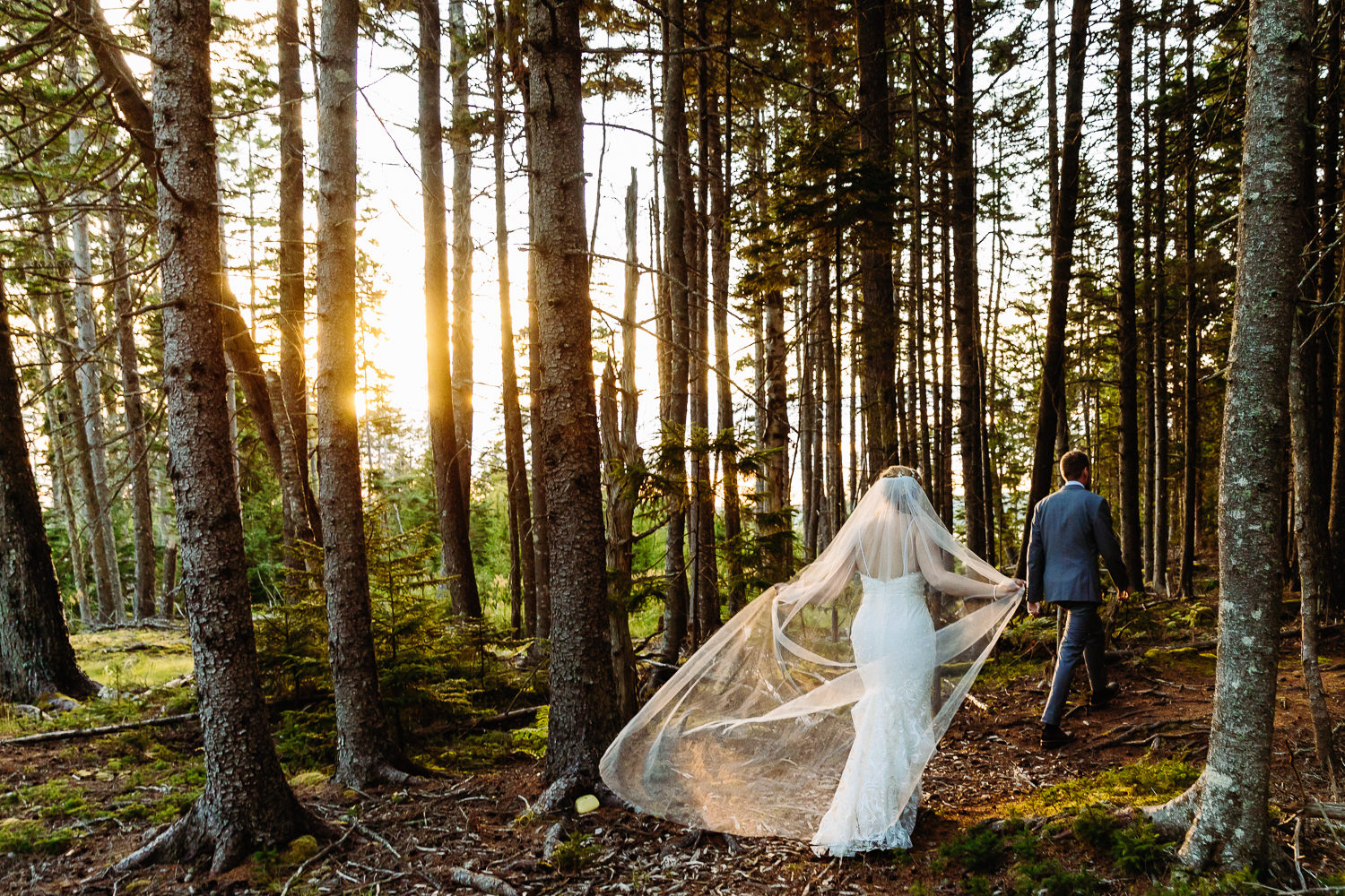 wedding portrait at sunset during wedding toast at Swan's Island Maine wedding