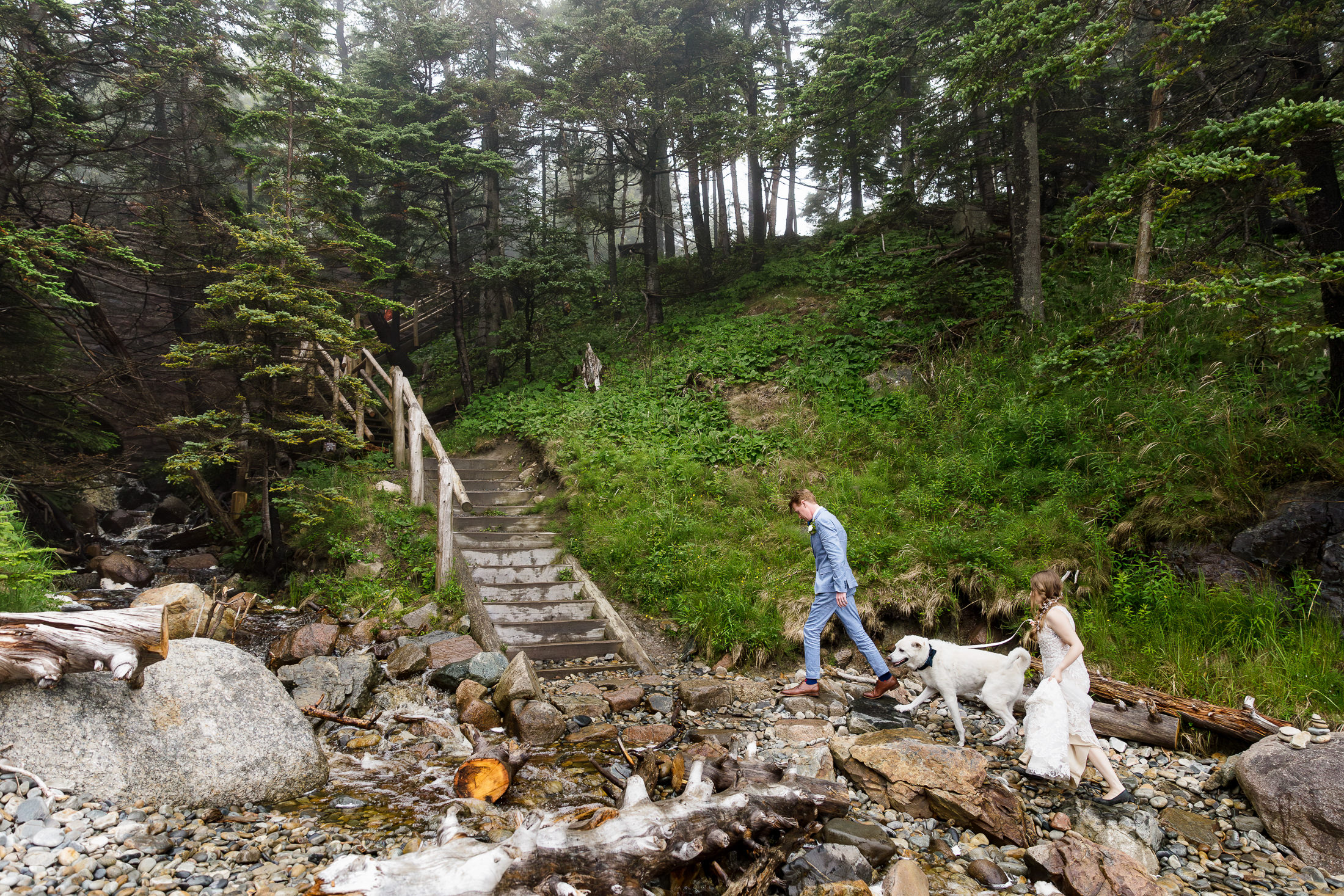 couple with their dog at Little Hunters Beach during Acadia National Park elopement